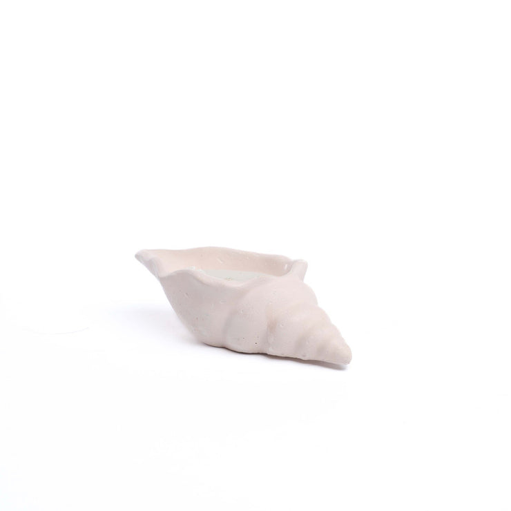 Concret seashell with solid candle 10cm*6cm